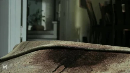 Кадры из сериала Ходячие мертвецы: Вэб-эпизоды (2011)